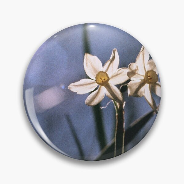 Item preview, White Daffodils in the Sun designed and sold by Melissa Holland.
