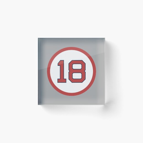 Item preview, Johnny Damon #18 Jersey Number designed and sold by StickBall.