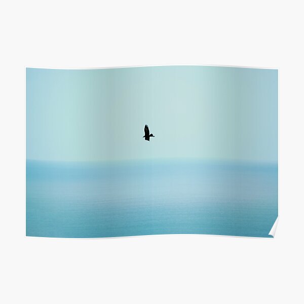 Born to be free Poster