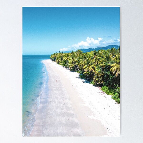 Item preview, Palm Tree Paradise Port Douglas designed and sold by MrWhitsundays.