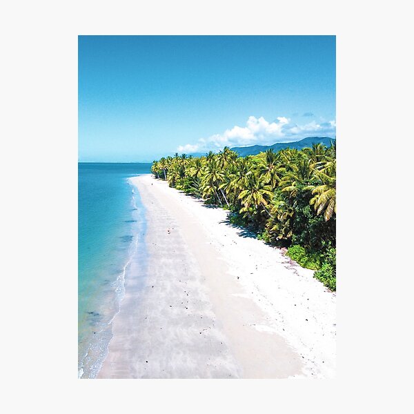 Item preview, Palm Tree Paradise Port Douglas designed and sold by MrWhitsundays.