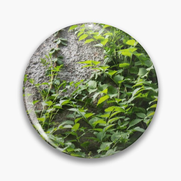 Item preview, a concrete wall overgrown with foliage designed and sold by nataliavavilina.
