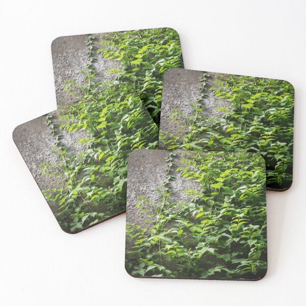 Item preview, a concrete wall overgrown with foliage designed and sold by nataliavavilina.