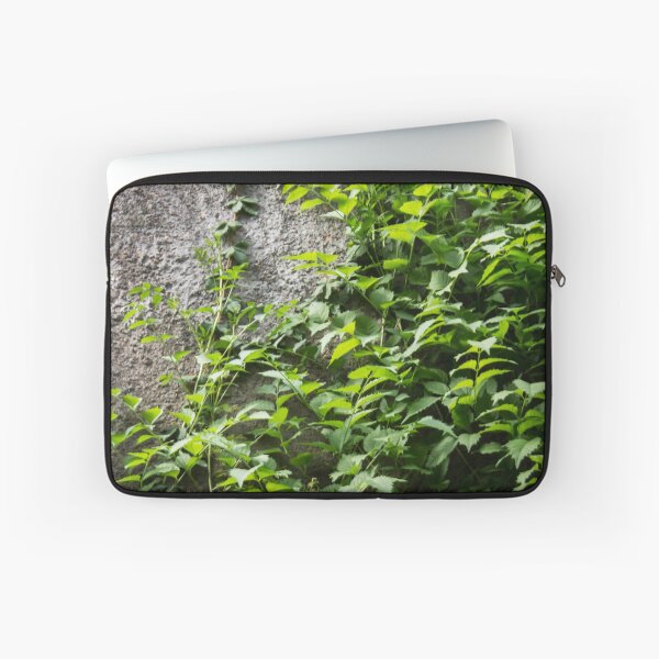 Item preview, a concrete wall overgrown with foliage designed and sold by nataliavavilina.