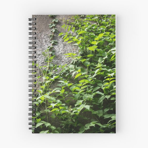 Item preview, a concrete wall overgrown with foliage designed and sold by nataliavavilina.