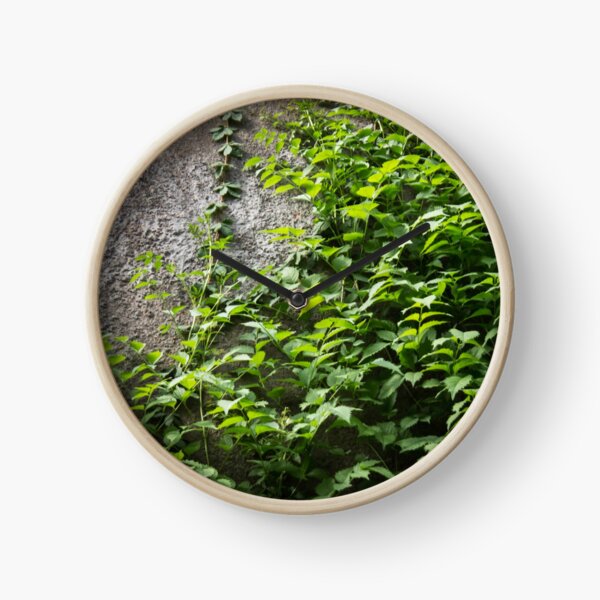 Item preview, a concrete wall overgrown with foliage designed and sold by nataliavavilina.