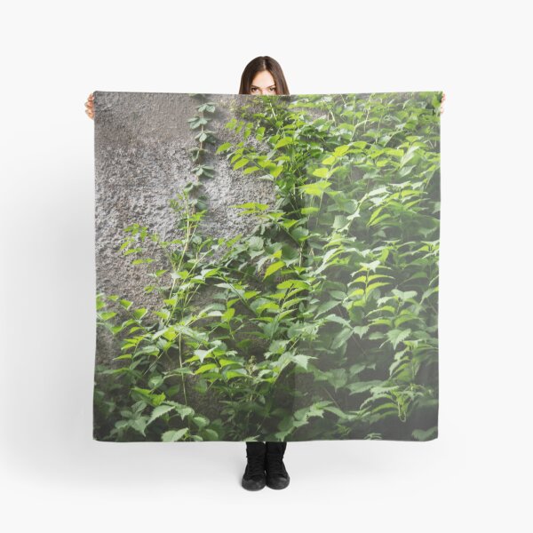 Item preview, a concrete wall overgrown with foliage designed and sold by nataliavavilina.