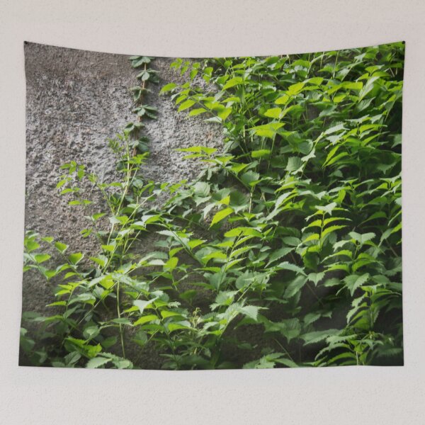Item preview, a concrete wall overgrown with foliage designed and sold by nataliavavilina.