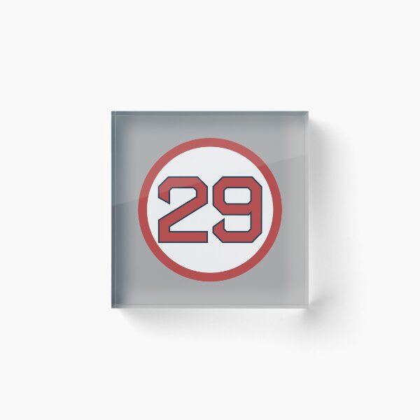 Item preview, Bobby Dalbec #29 Jersey Number designed and sold by StickBall.