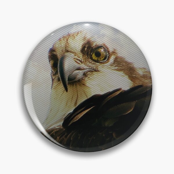 Artikelvorschau, Osprey Attitude entworfen und verkauft von Diane Arndt.