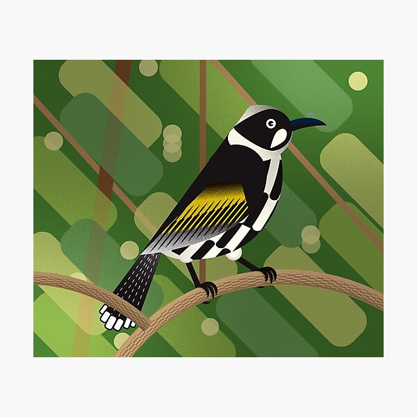 Item preview, New Holland Honeyeater designed and sold by Dion Douglas.