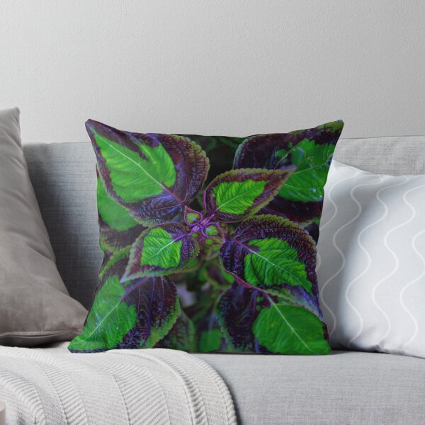 Item preview, close up of ornamental plant designed and sold by likbatonboot.