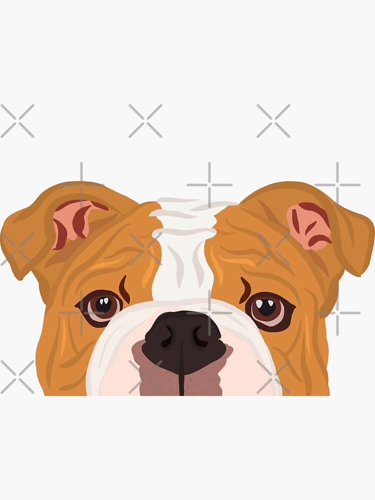 Bulldog Mom sticker H352 8.5 inch wide vinyl bully olde english bulldogge 