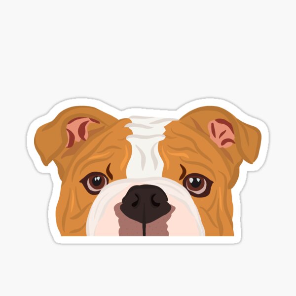 Sticker: Old English Bulldog