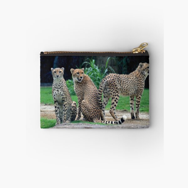 Item preview, Cheetas in the Rain designed and sold by Margaret Shark.