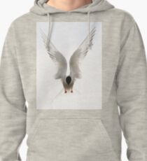 Tern Pullover Hoodie