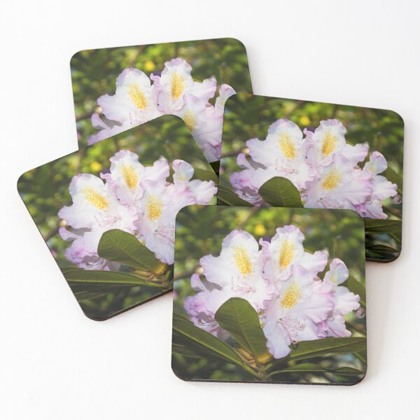 Item preview, white, yellow, pink, large rhododendron flower designed and sold by nataliavavilina.