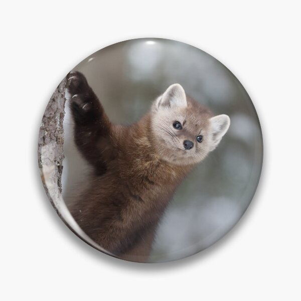 Item preview, Pine Marten designed and sold by mlorenz.