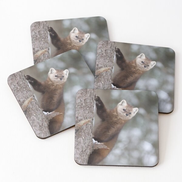 Item preview, Pine Marten designed and sold by mlorenz.