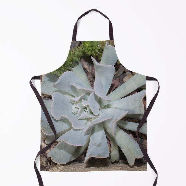 Item preview, light green succulent flower on rocks designed and sold by nataliavavilina.