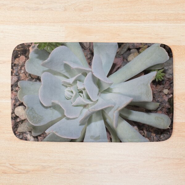 Item preview, light green succulent flower on rocks designed and sold by nataliavavilina.