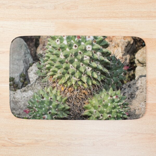 Item preview, cactus with small red flowers designed and sold by nataliavavilina.