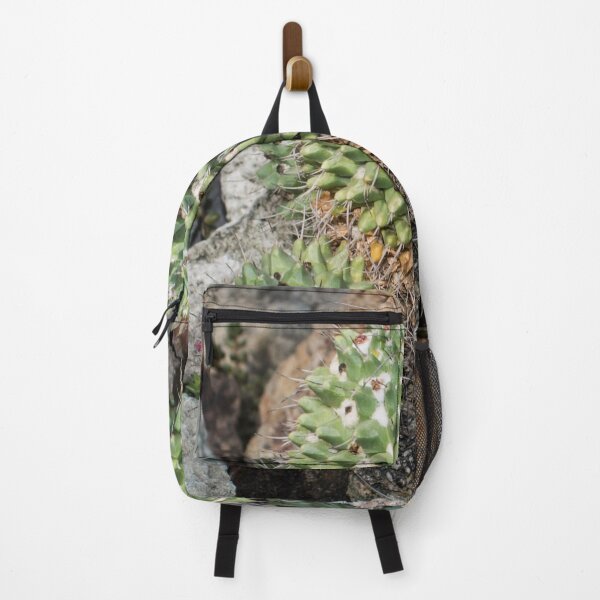 Item preview, cactus with small red flowers designed and sold by nataliavavilina.