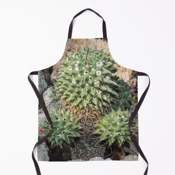 Item preview, cactus with small red flowers designed and sold by nataliavavilina.