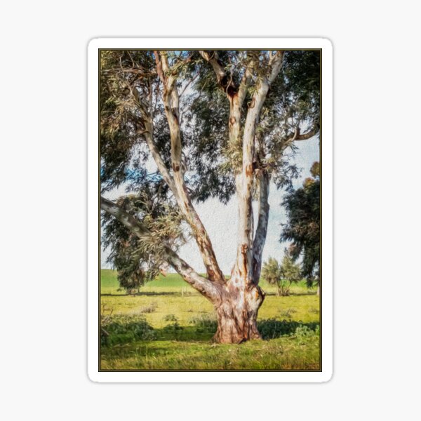 Item preview, Eucalypt designed and sold by NaturallyArt.