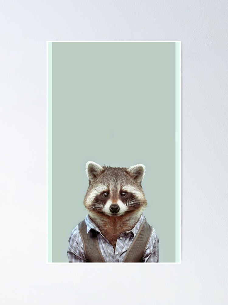Business Raccoon