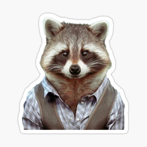 raccoons wearing collared shirts