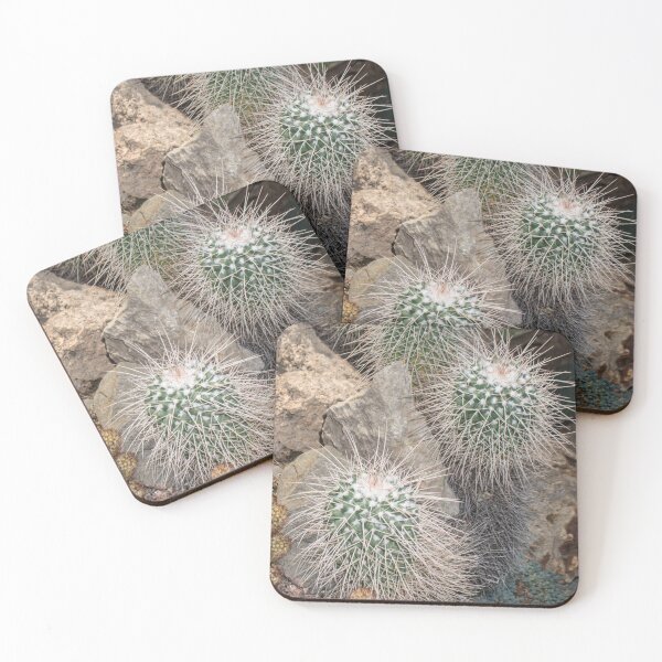 Item preview, two round fluffy cactus flowers designed and sold by nataliavavilina.