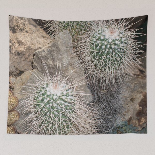 Item preview, two round fluffy cactus flowers designed and sold by nataliavavilina.
