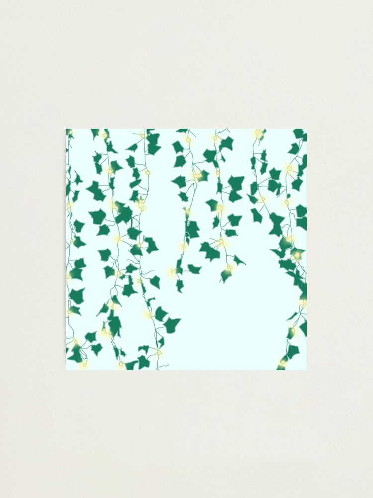 aesthetic green vines  Photographic Print for Sale by hannahhamo