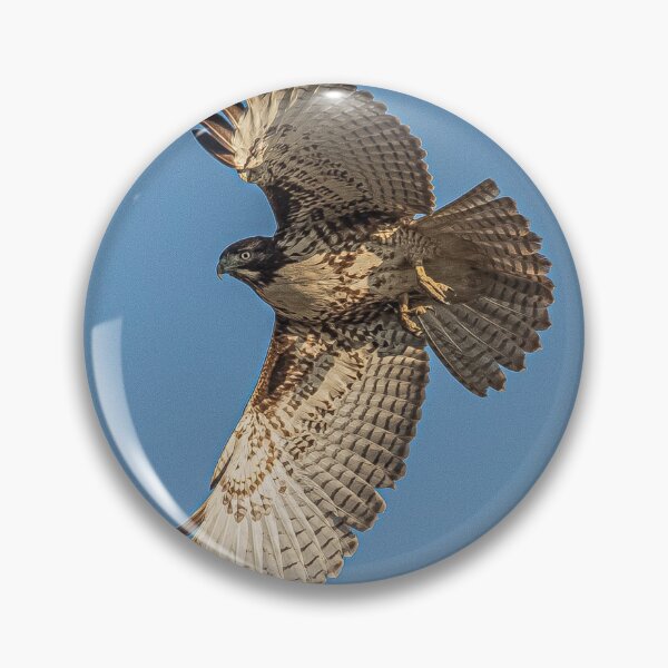 Item preview, Red-tailed Hawk designed and sold by nfieldin.