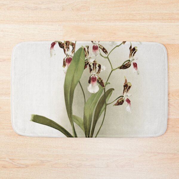 Item preview, Reichenbachia: Orchids Illustrated and Described designed and sold by EsotericBotanic.