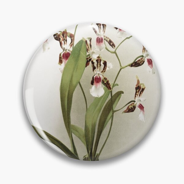 Item preview, Reichenbachia: Orchids Illustrated and Described designed and sold by EsotericBotanic.