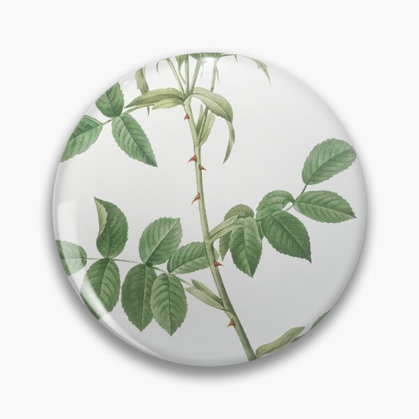 Item preview, Les Roses by Pierre-Joseph Redouté designed and sold by EsotericBotanic.