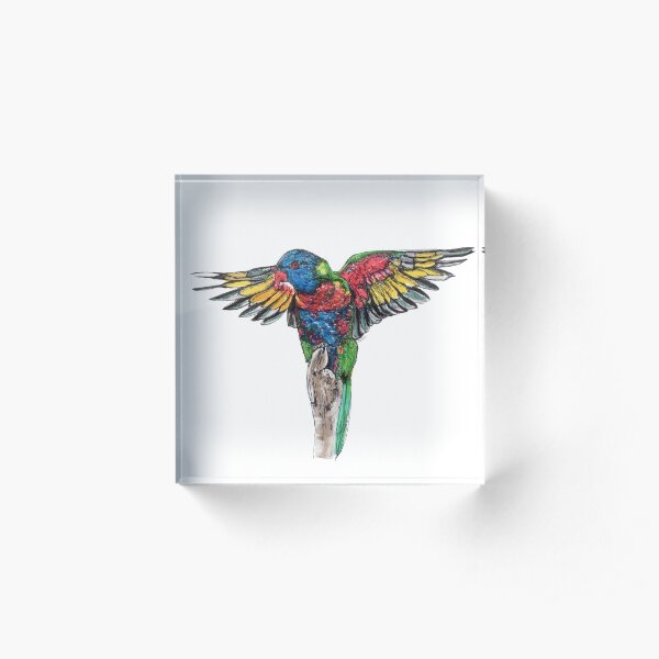 Delilah the Rainbow Lorikeet Acrylic Block
