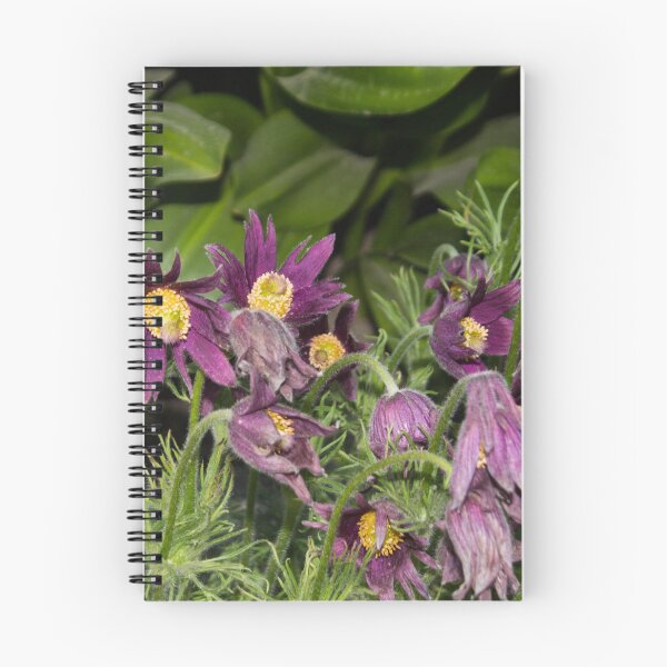 Item preview, purple bell flowers with yellow centers on a background of green foliage designed and sold by nataliavavilina.