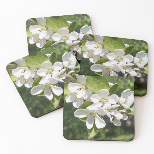 Item preview, white apple flowers with yellow stamens on a background of green foliage designed and sold by nataliavavilina.