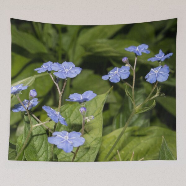 Item preview, light blue small flowers on a background of green foliage designed and sold by nataliavavilina.