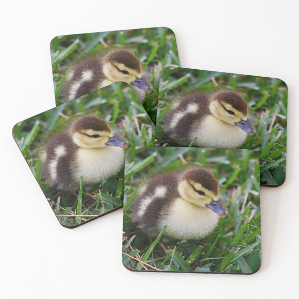 Item preview, Daisy's Precious Duckling designed and sold by richardbryce.