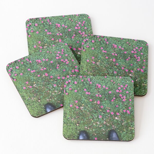 Item preview, Look down at the flowers designed and sold by James  Kerr.