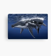Gentle Giants Canvas Print