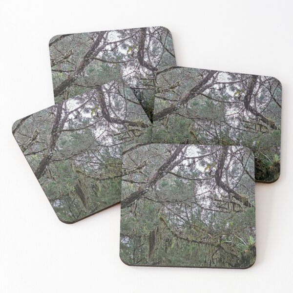 Item preview, Forest designed and sold by saravana.