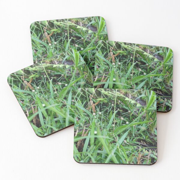 Item preview, Grass designed and sold by saravana.