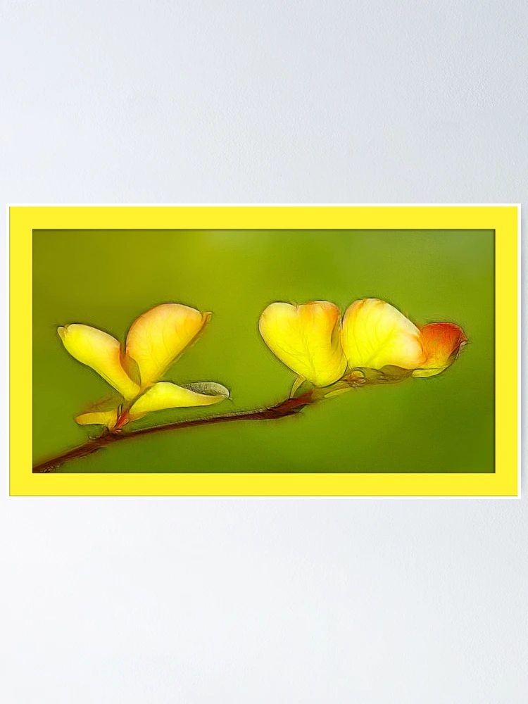 Thumbnail 1 of 3, Poster, Springing Out designed and sold by glink.