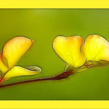 Artwork thumbnail, Springing Out by glink