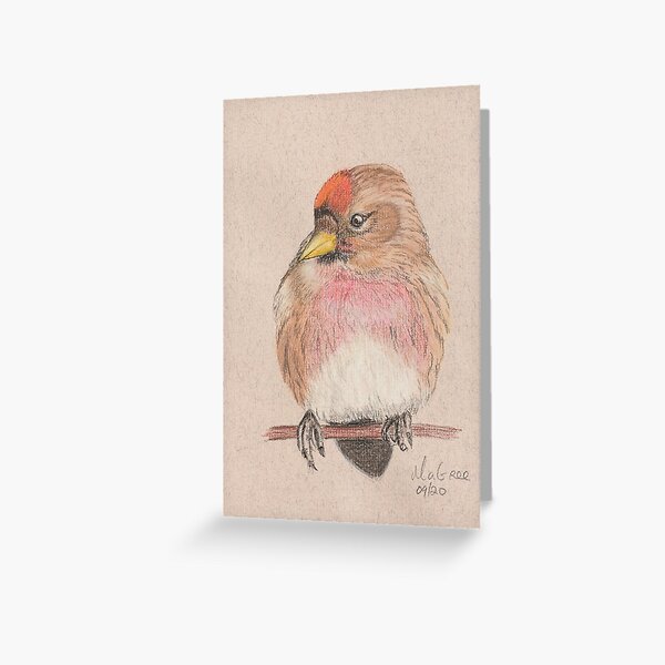 Redpoll/Sizerin Flammé Greeting Card
